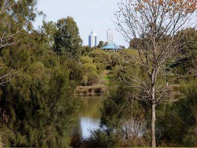 6 Riverina Drive, ASCOT, WA 6104 AUS